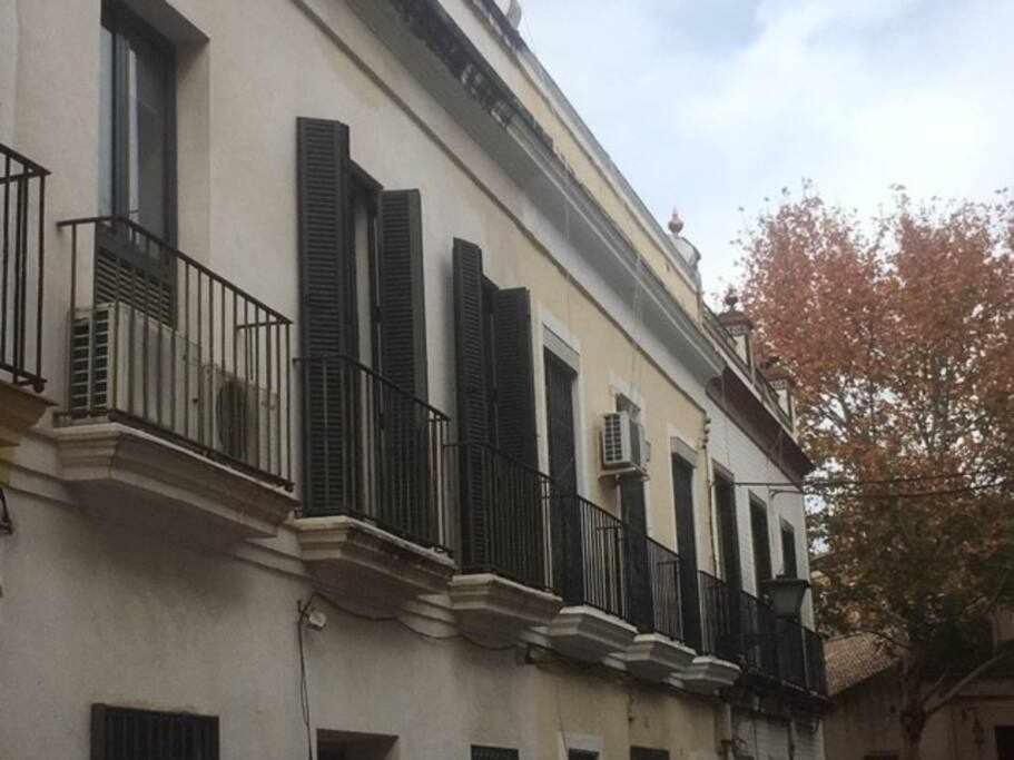 Apartamento Con Parking Jesus Del Gran Poder Sevilla Eksteriør bilde